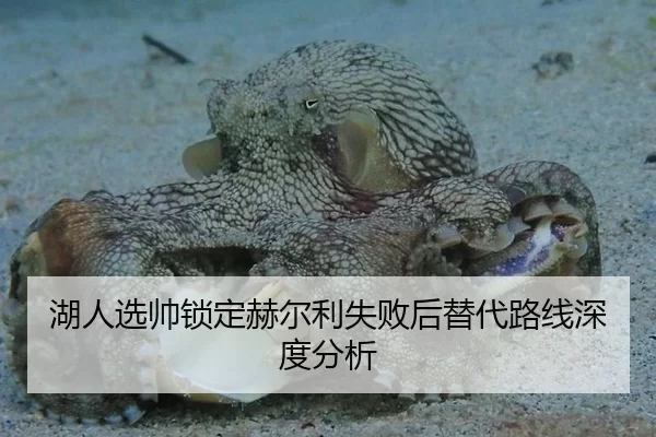 湖人选帅锁定赫尔利失败后替代路线深度分析
